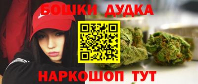 jwh Ставрополь