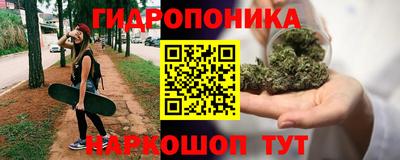 jwh Ставрополь