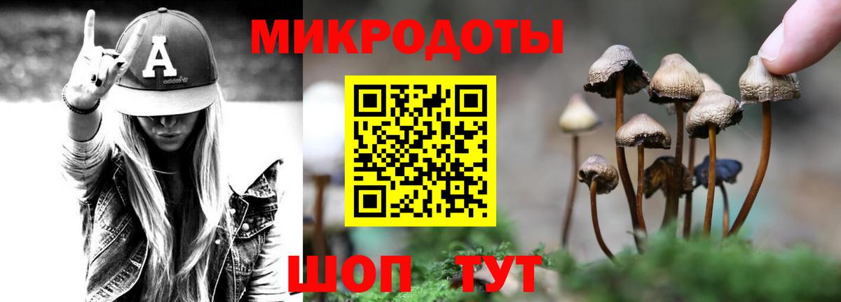 Мценск  Галлюциногенные грибы MAGIC MUSHROOMS  Псилоцибиновые грибы мицелий  Вход с VPN 